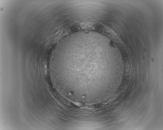 X0000059820703200510241356