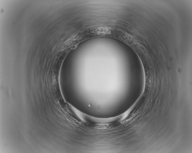 X0000059820704200510241356