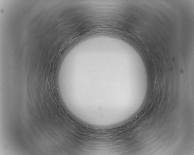 X0000059820705200510241356