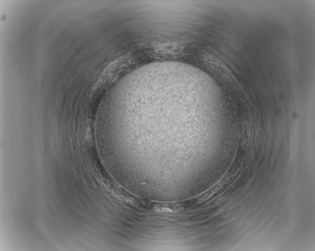 X0000059820706200510241356