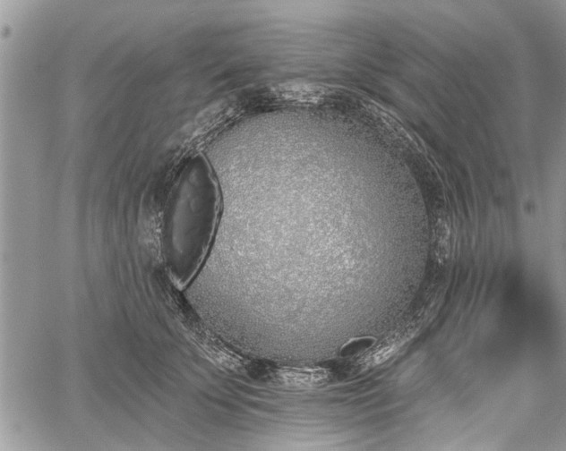 X0000059820707200510241356