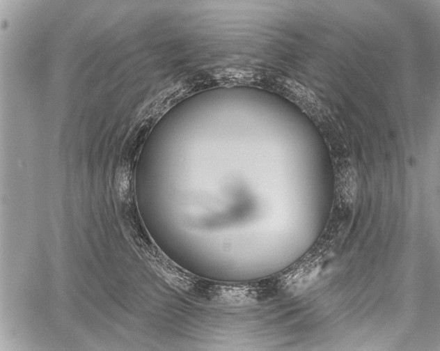 X0000059820709200510241356