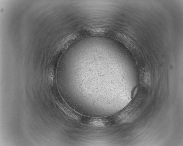 X0000059820710200510241356