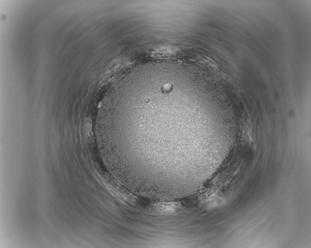 X0000059820711200510241355