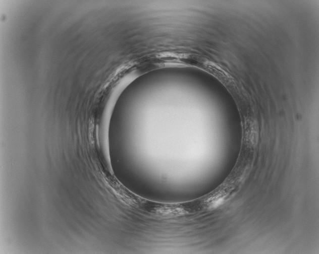 X0000059820712200510241355