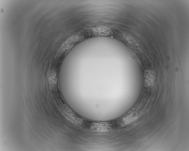 X0000059820713200510241355