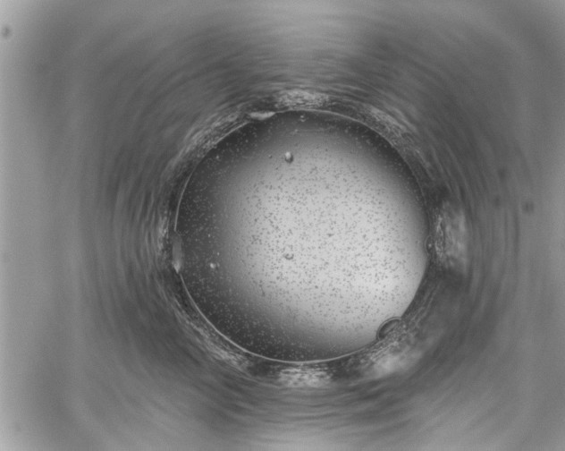 X0000059820714200510241355