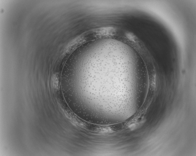 X0000059820715200510241355