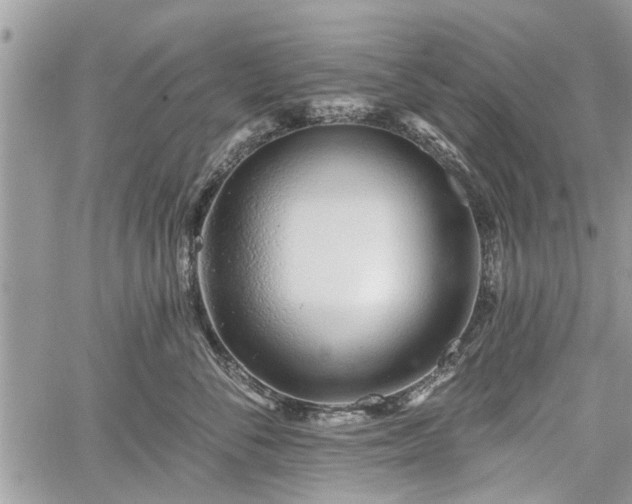 X0000059820716200510241355