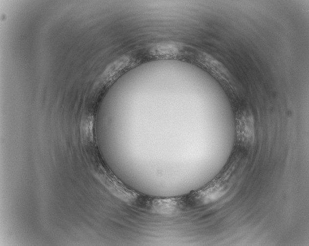 X0000059820717200510241355