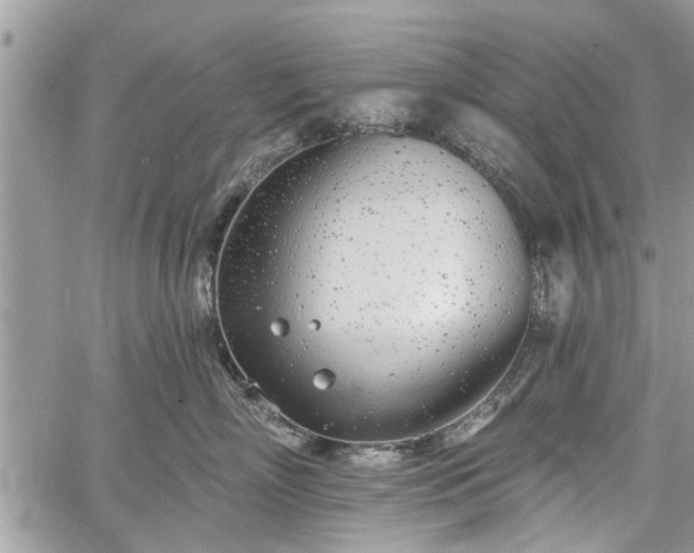 X0000059820718200510241355