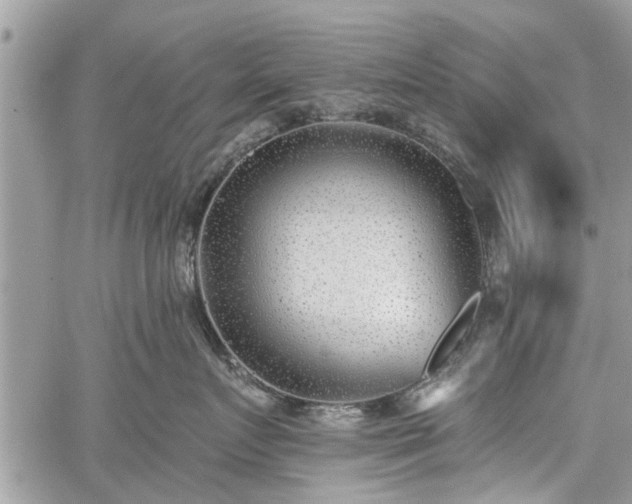 X0000059820719200510241355