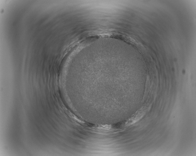 X0000059820720200510241355