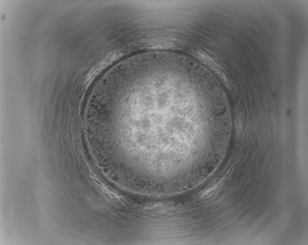 X0000059820721200510241355