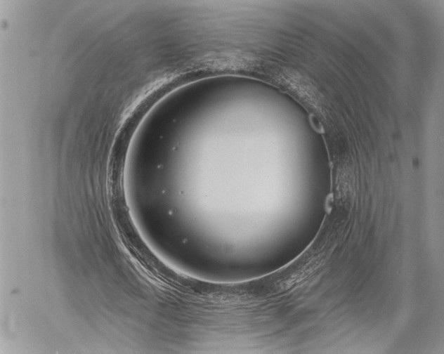 X0000059820722200510241355