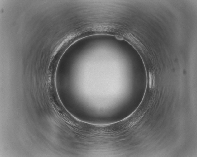 X0000059820723200510241355