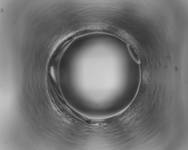 X0000059820724200510241355