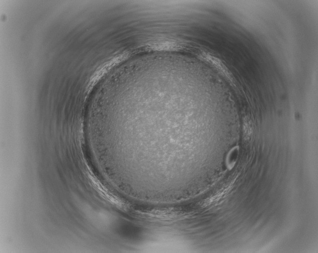 X0000059820725200510241355