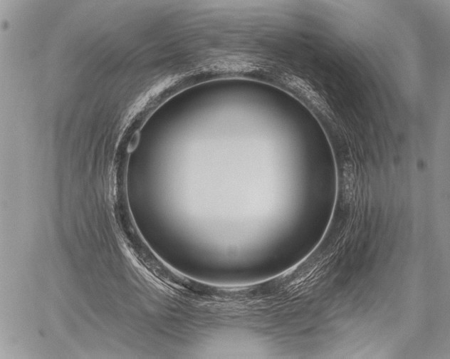 X0000059820726200510241355