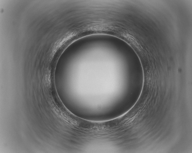 X0000059820727200510241355