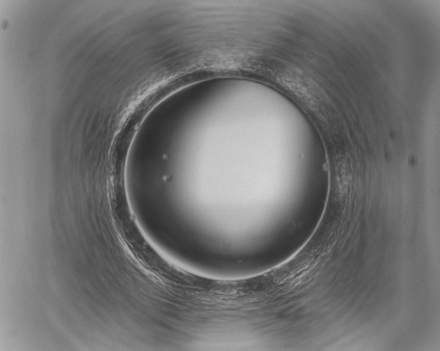 X0000059820728200510241355