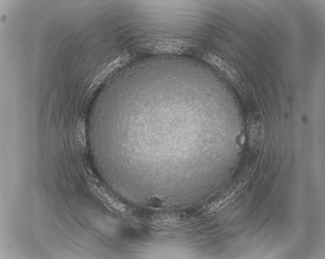 X0000059820729200510241355