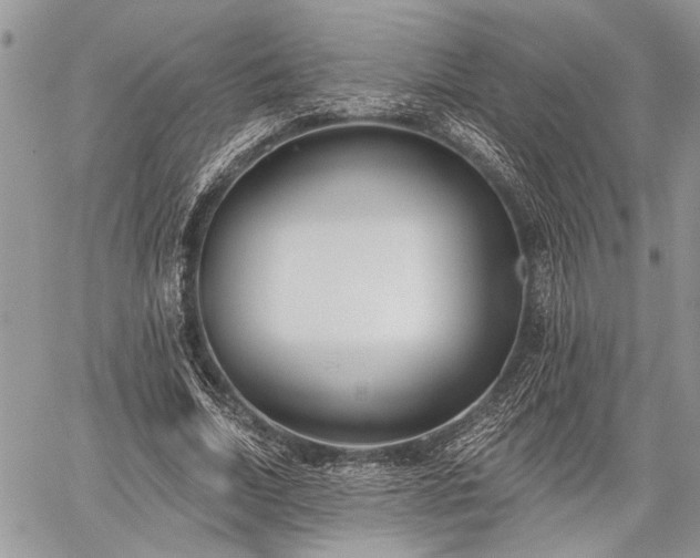 X0000059820730200510241355