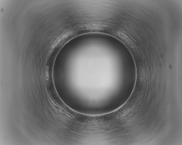 X0000059820731200510241355