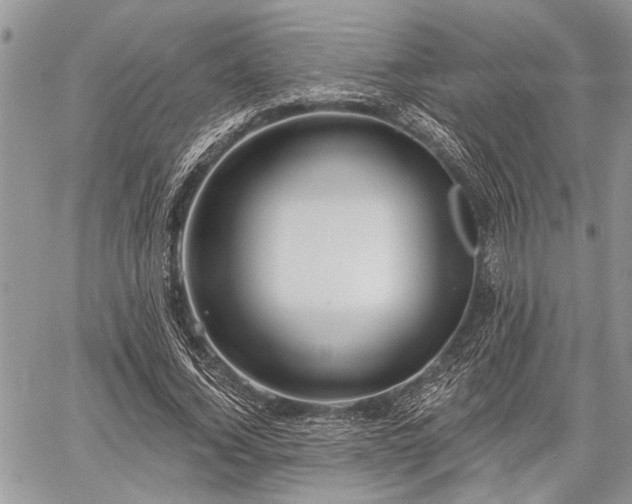 X0000059820732200510241355