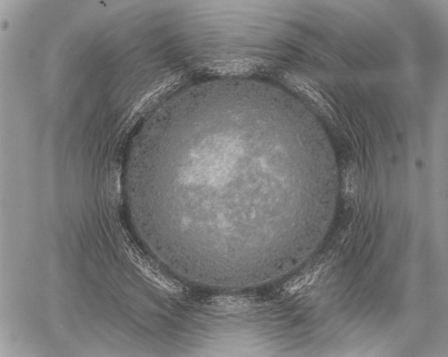 X0000059820733200510241355