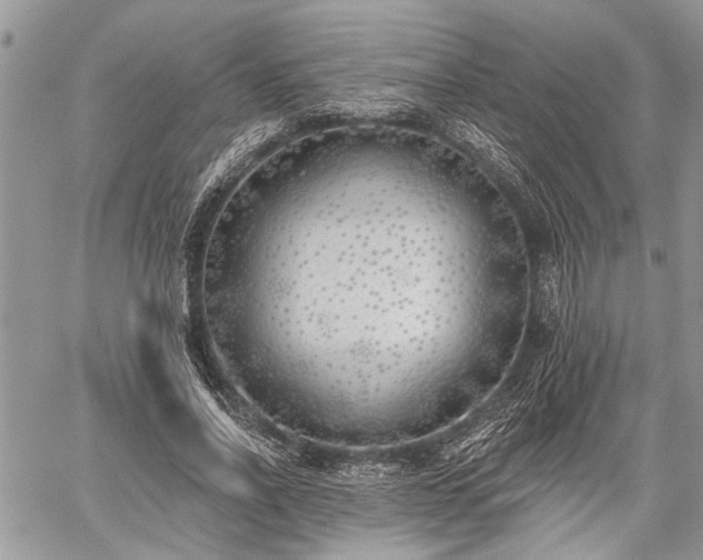 X0000059820734200510241355