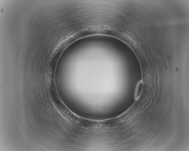 X0000059820736200510241355