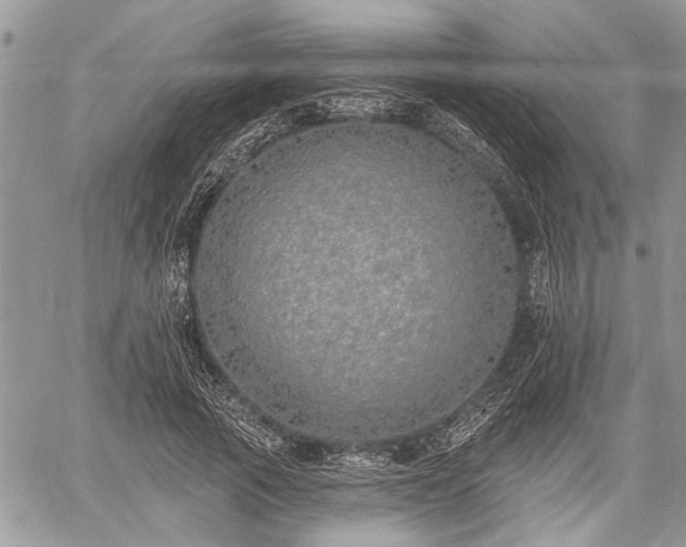 X0000059820737200510241355