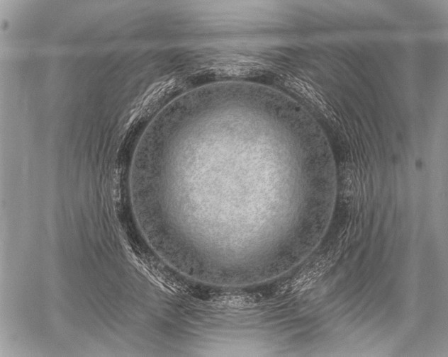 X0000059820738200510241355