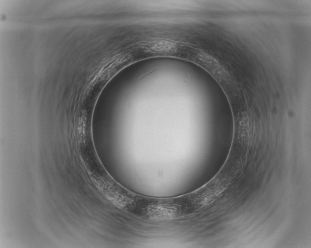 X0000059820739200510241355