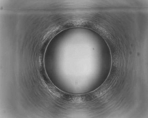 X0000059820740200510241355