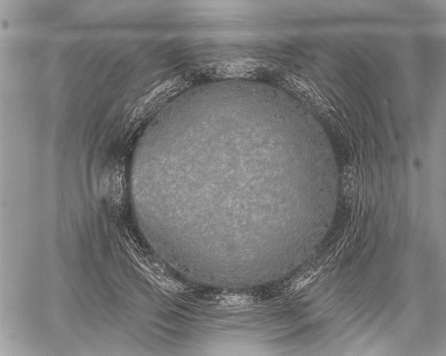 X0000059820741200510241355