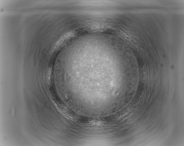 X0000059820742200510241355