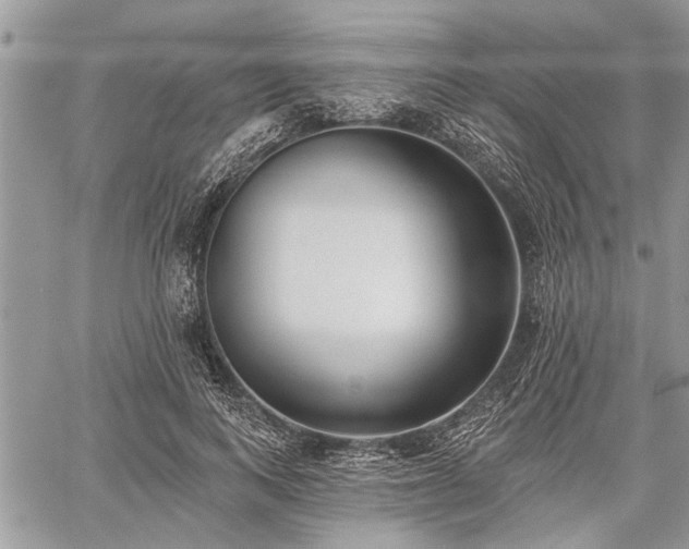 X0000059820743200510241355