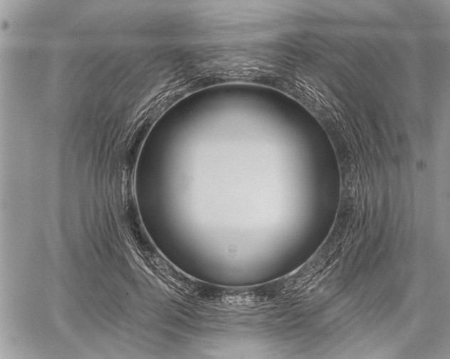 X0000059820744200510241355