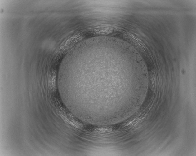 X0000059820745200510241355