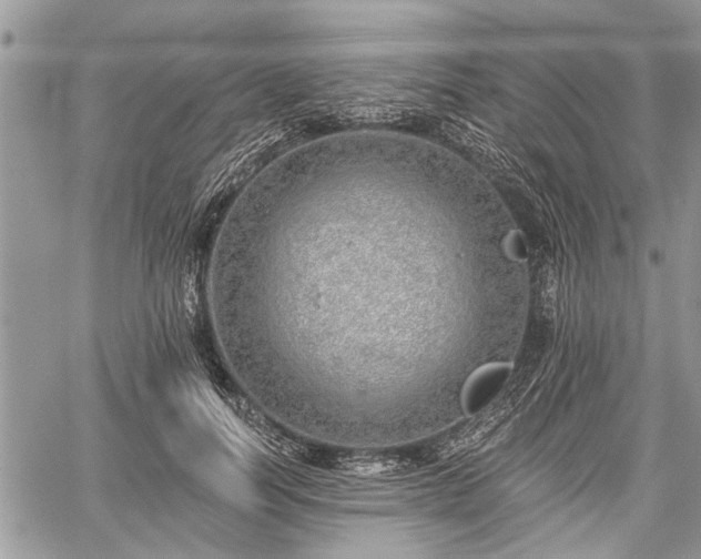 X0000059820746200510241355