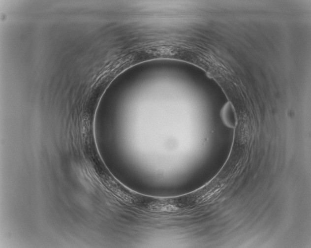 X0000059820747200510241355