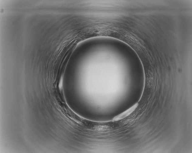 X0000059820748200510241355