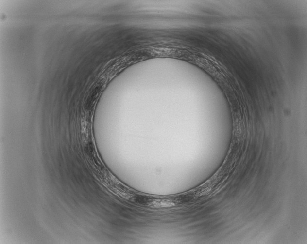 X0000059820749200510241355