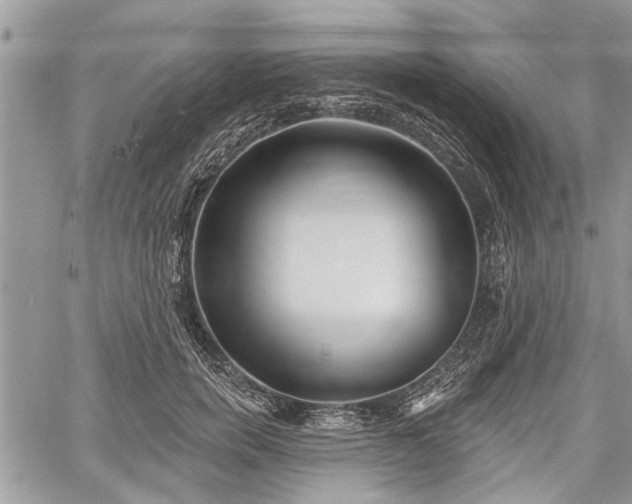 X0000059820750200510241355