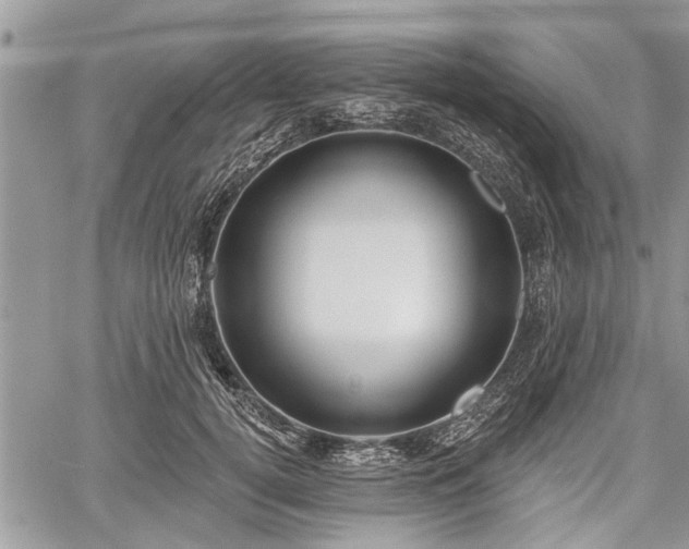 X0000059820752200510241355