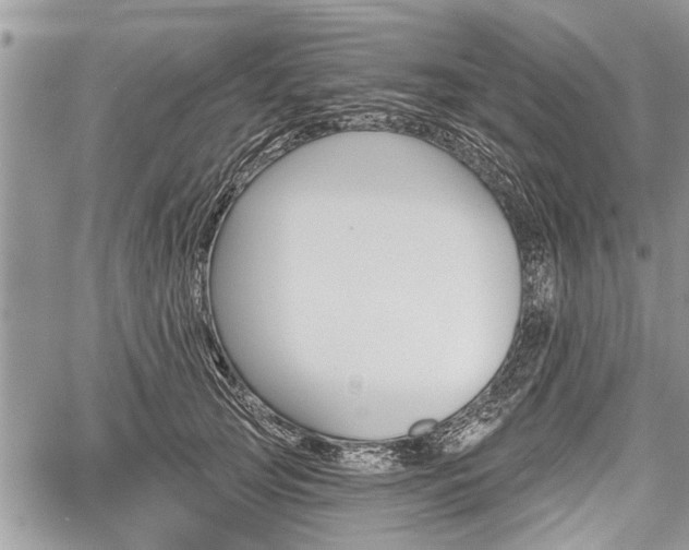 X0000059820753200510241355