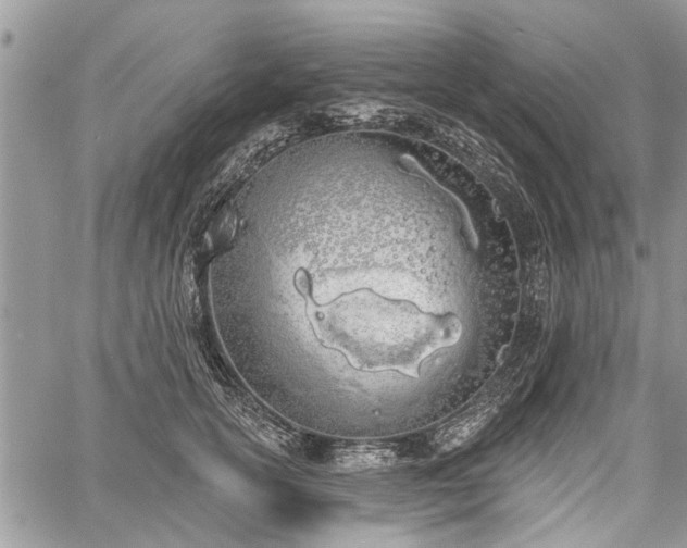 X0000059820754200510241355