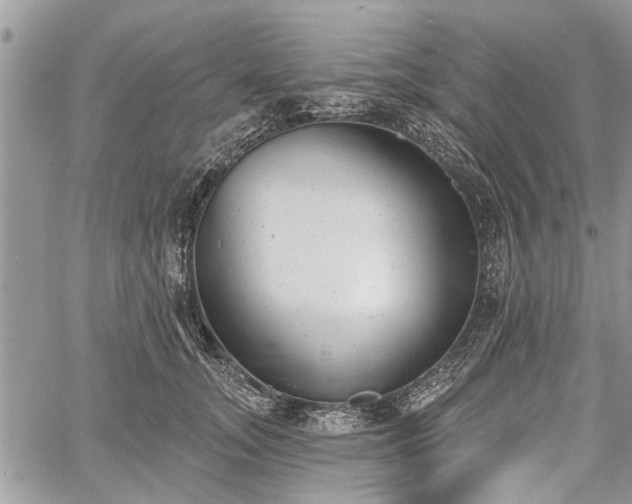 X0000059820755200510241355